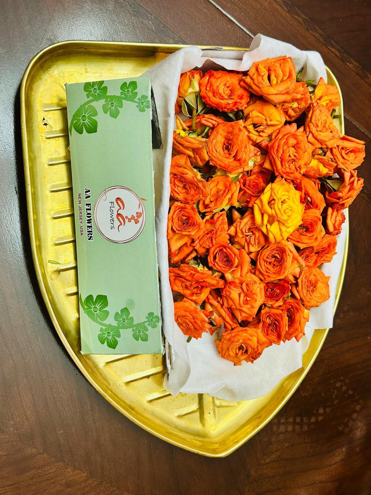 Orange Rose