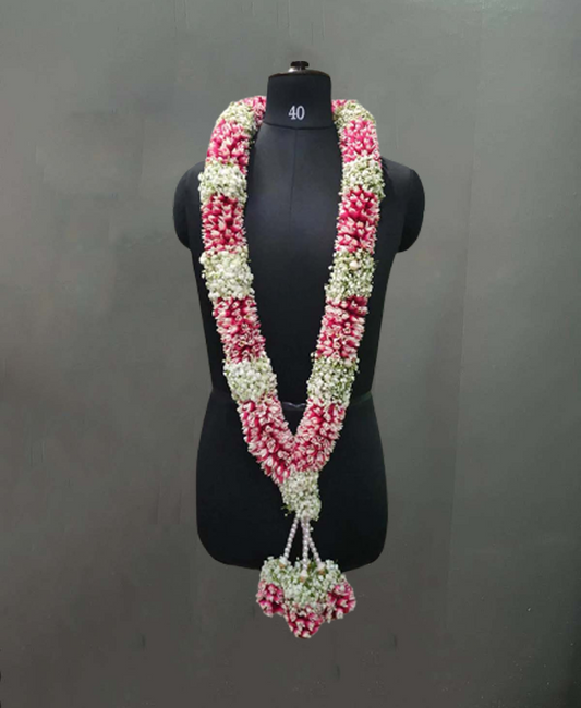 Rose Theri with baby breath