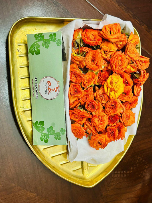 Orange Rose