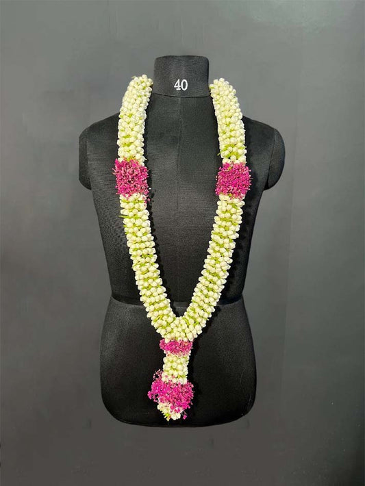 Nanthiyavattam with baby breath